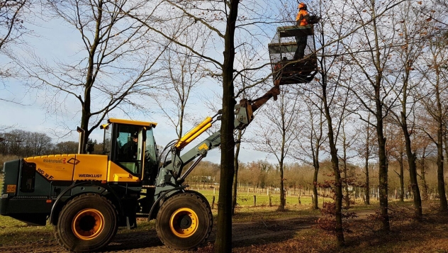 Bosonderhoud duurzame biogrondstoffen regio Warmtebedrijf Ede bio-energie de Vallei