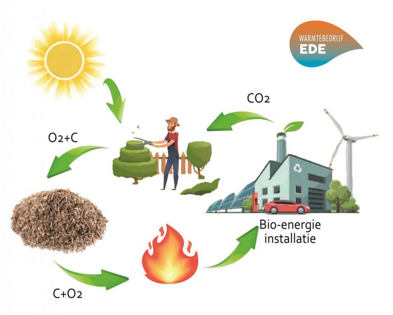 Korte Koolstof Kringloop Biomassa - Warmtebedrijf Ede